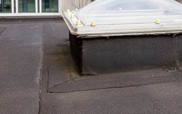 disadvantages of Felin Crai flat roofs