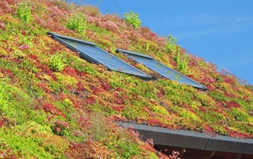 Felin Crai living roof systems