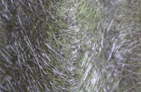 Felin Crai fibreglass roof work